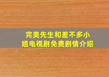 完美先生和差不多小姐电视剧免费剧情介绍