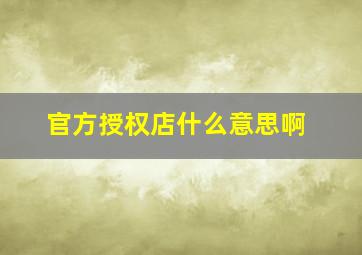 官方授权店什么意思啊