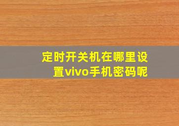 定时开关机在哪里设置vivo手机密码呢