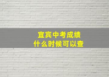 宜宾中考成绩什么时候可以查