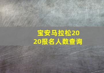 宝安马拉松2020报名人数查询