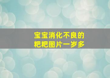 宝宝消化不良的粑粑图片一岁多