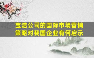 宝洁公司的国际市场营销策略对我国企业有何启示