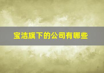 宝洁旗下的公司有哪些