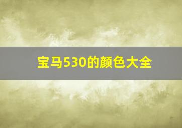 宝马530的颜色大全