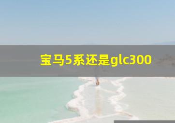 宝马5系还是glc300