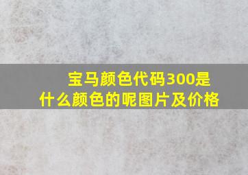 宝马颜色代码300是什么颜色的呢图片及价格