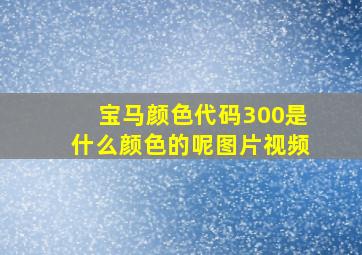 宝马颜色代码300是什么颜色的呢图片视频