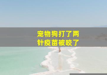 宠物狗打了两针疫苗被咬了