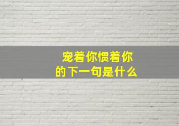 宠着你惯着你的下一句是什么