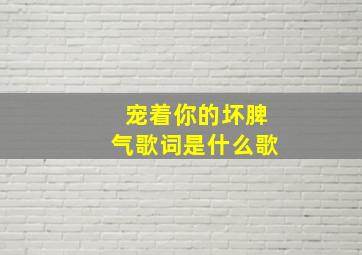 宠着你的坏脾气歌词是什么歌