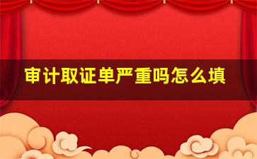 审计取证单严重吗怎么填