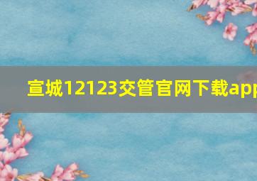 宣城12123交管官网下载app