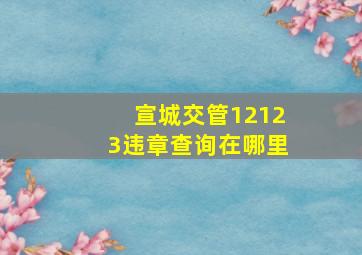 宣城交管12123违章查询在哪里