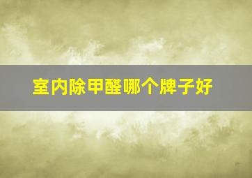 室内除甲醛哪个牌子好