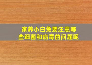 家养小白兔要注意哪些细菌和病毒的问题呢