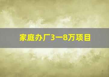 家庭办厂3一8万项目