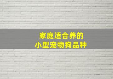 家庭适合养的小型宠物狗品种