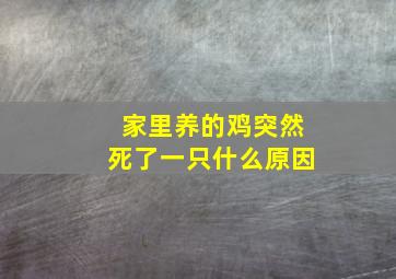 家里养的鸡突然死了一只什么原因