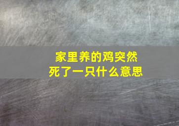 家里养的鸡突然死了一只什么意思