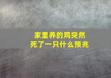 家里养的鸡突然死了一只什么预兆