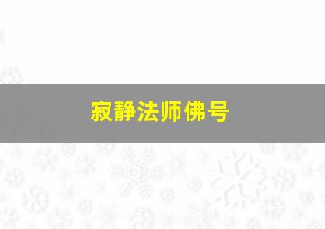 寂静法师佛号