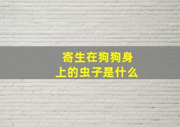 寄生在狗狗身上的虫子是什么