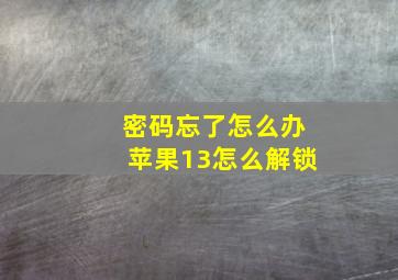 密码忘了怎么办苹果13怎么解锁