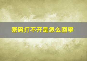 密码打不开是怎么回事