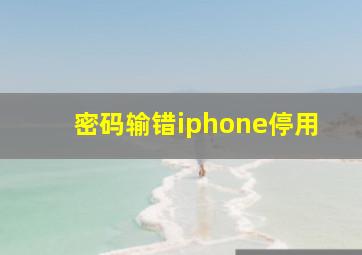 密码输错iphone停用