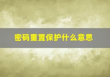 密码重置保护什么意思