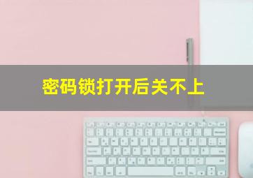 密码锁打开后关不上