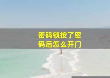 密码锁按了密码后怎么开门