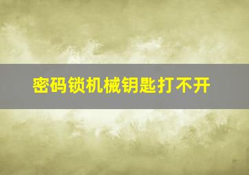 密码锁机械钥匙打不开