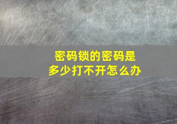 密码锁的密码是多少打不开怎么办