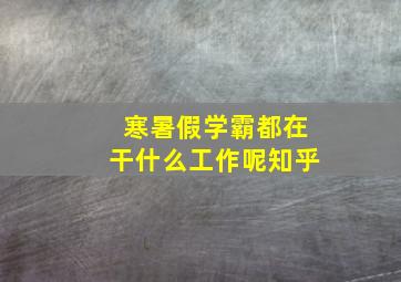 寒暑假学霸都在干什么工作呢知乎