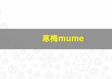 寒梅mume