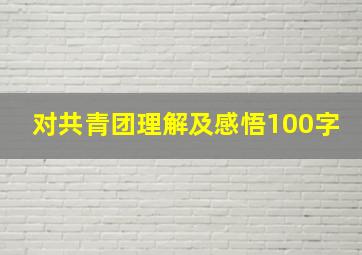 对共青团理解及感悟100字