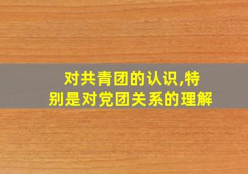 对共青团的认识,特别是对党团关系的理解