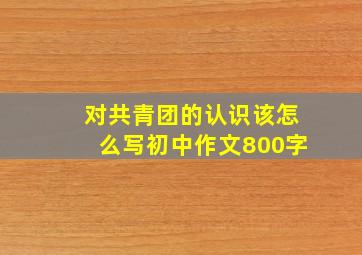 对共青团的认识该怎么写初中作文800字