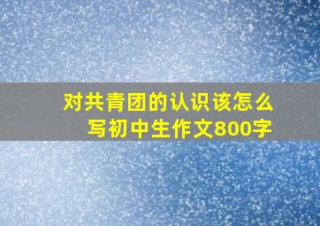 对共青团的认识该怎么写初中生作文800字