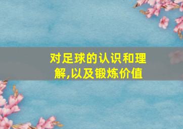 对足球的认识和理解,以及锻炼价值