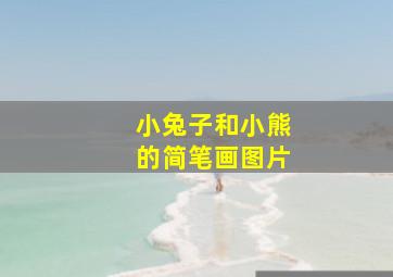 小兔子和小熊的简笔画图片