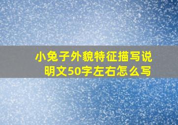 小兔子外貌特征描写说明文50字左右怎么写