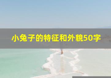 小兔子的特征和外貌50字