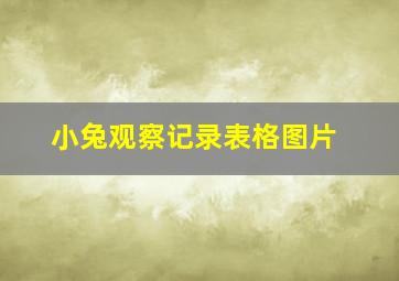 小兔观察记录表格图片