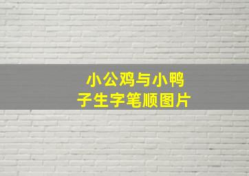 小公鸡与小鸭子生字笔顺图片