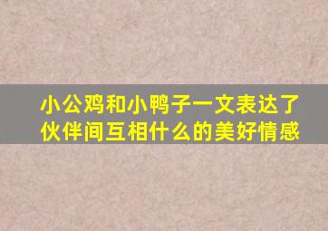 小公鸡和小鸭子一文表达了伙伴间互相什么的美好情感