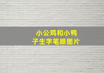 小公鸡和小鸭子生字笔顺图片