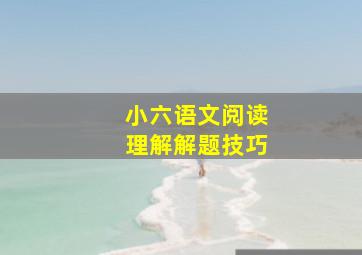 小六语文阅读理解解题技巧